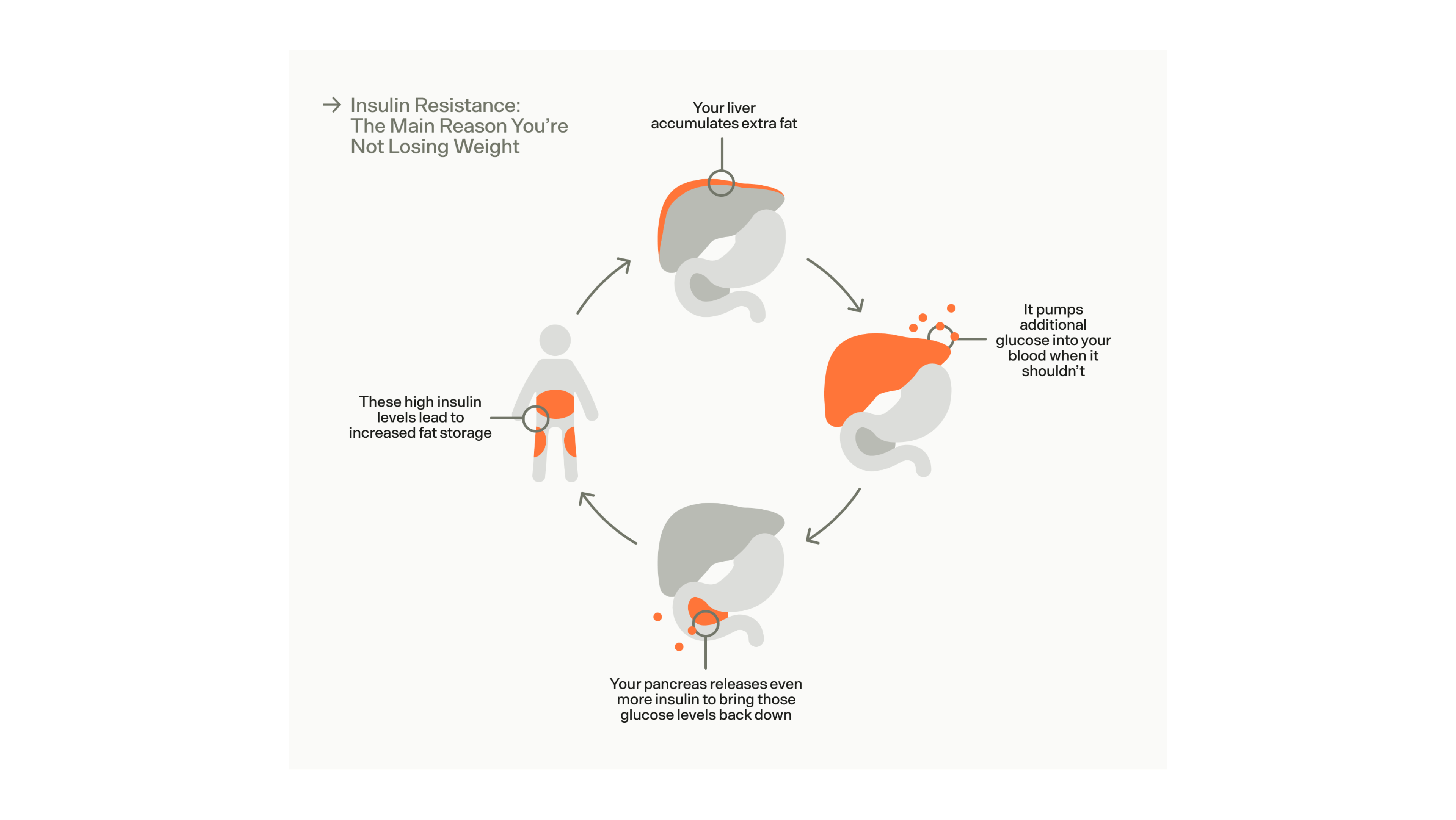 graphic showing the cycle between weight gain and insulin resistance