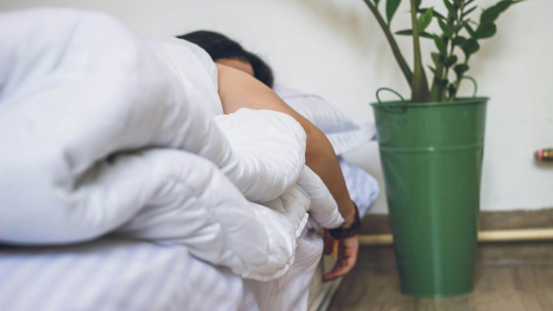 person sleeping next to a large potted plant